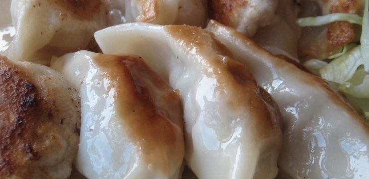 Gyoza (6)